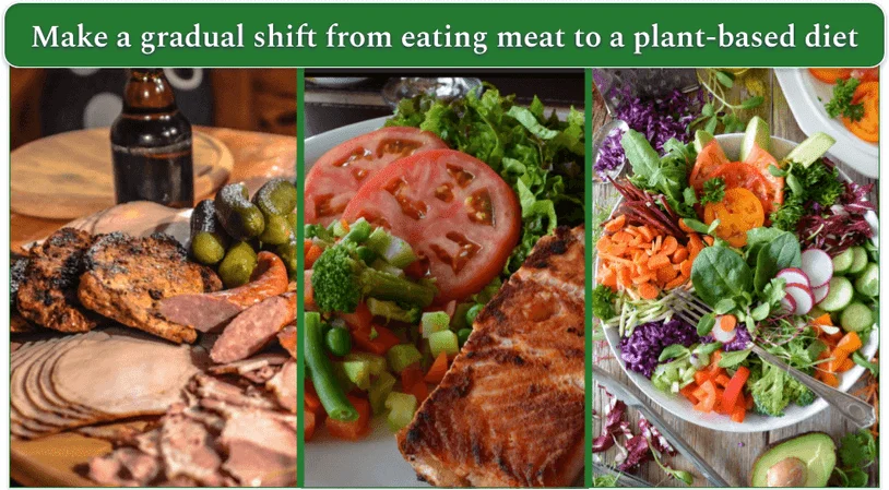 A collage of meals, showing the transition from eating meat to a plant-based diet