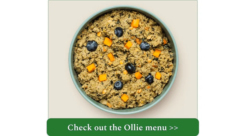 Ollie's Fresh Turkey recipe with kale and blueberries
