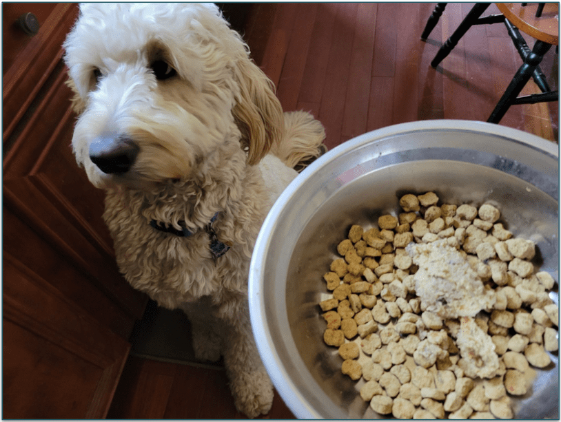 Ollie’s fresh meals can also be served as a topper