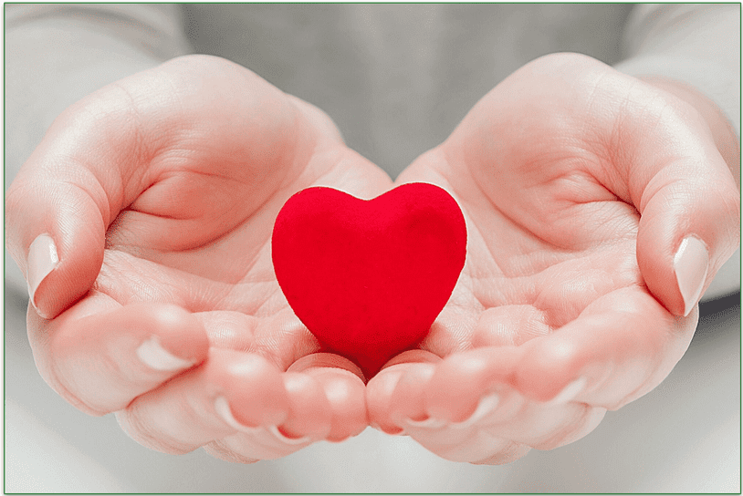 a red heart in hands