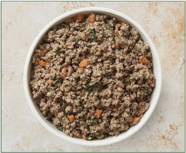 Bowl of TFD's dog food with carrots and kale visible