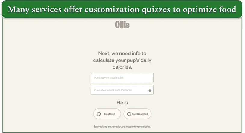 Ollie's dog food customization quiz
