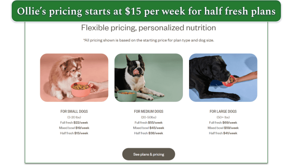 Ollie's prices for different-size dogs
