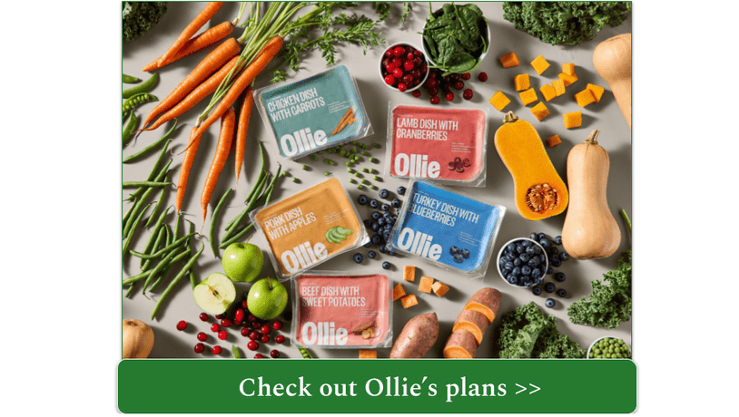 Selection of 5 fresh Ollie meals