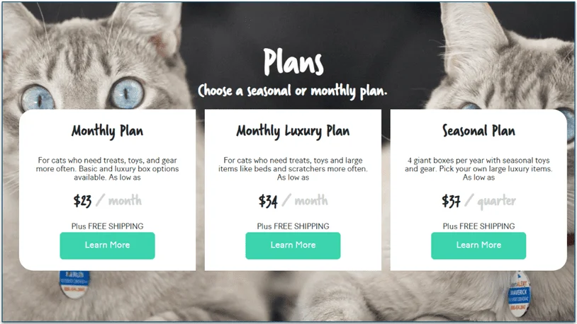 BoxCat plan options and prices