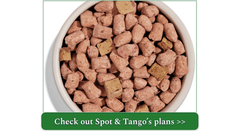 spot and tango beef unkibble in a bowl