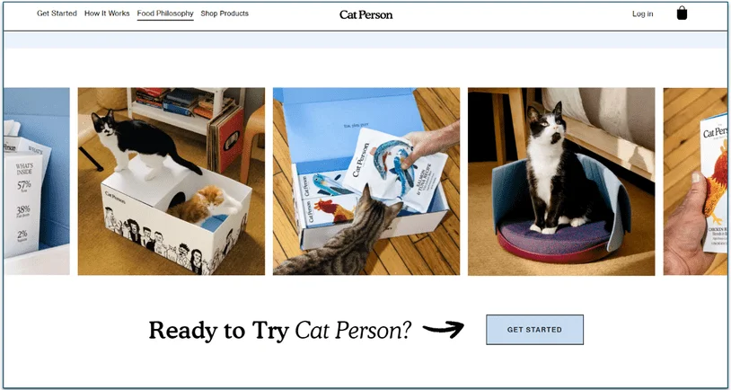 Home screen of the Cat Person website