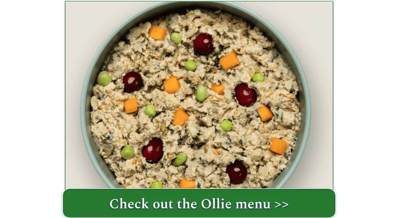 Ollie's Fresh Chicken with Carrots recipe