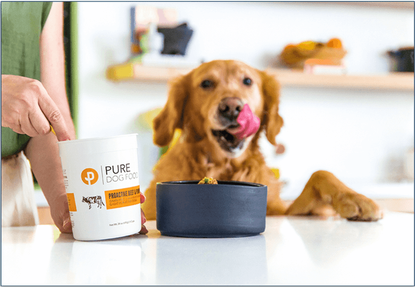 Dog being served a Pure Dog Food meal