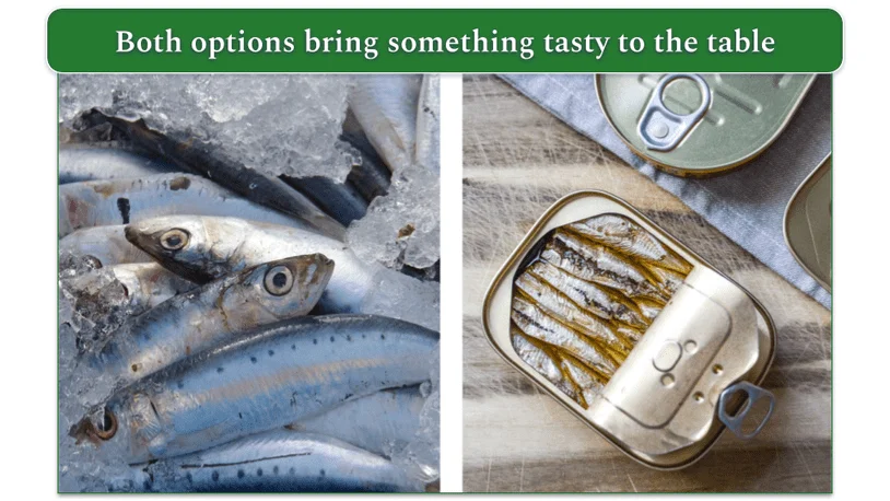 Fresh sardines on ice and sardines in a can