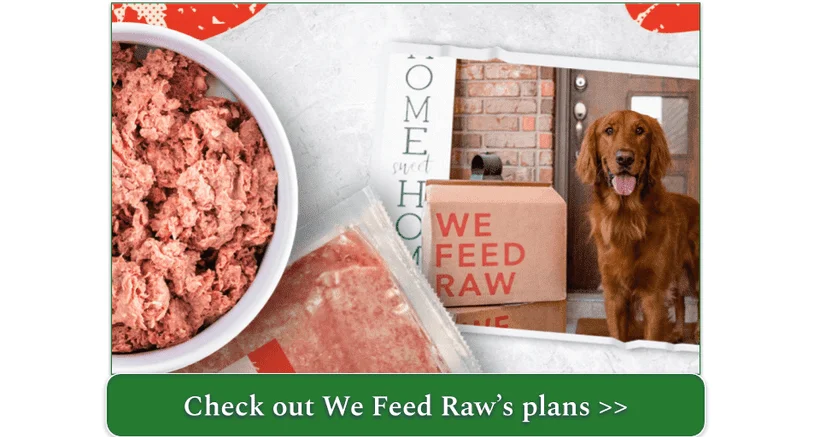 A bowl of We Feed Raw Beef Recipe with a photo of an Irish Setter beside it.