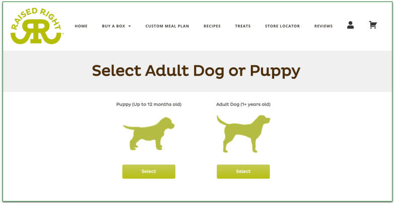 Screenshot of Raised Right’s custom plan page showing the choice between puppies and adult dogs
