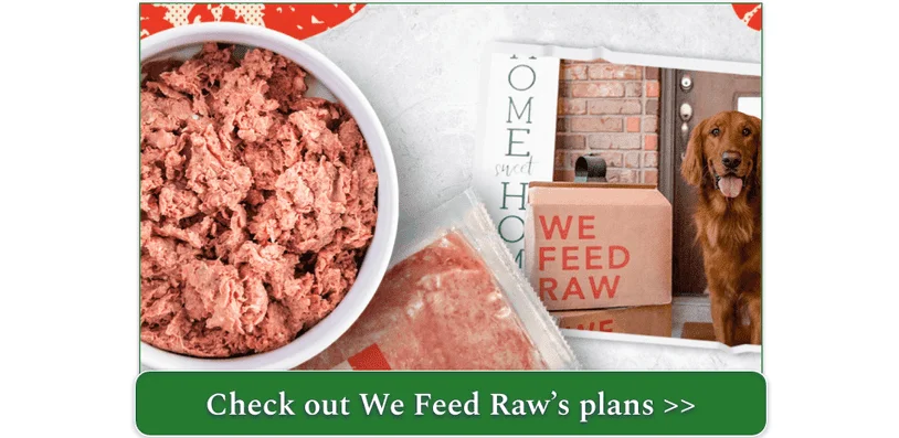 A bowl of We Feed Raw Beef recipe with a picture of an Irish Setter
