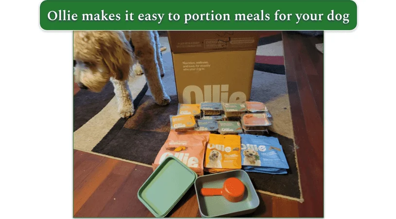 Packed bags of Ollie's meals for dogs