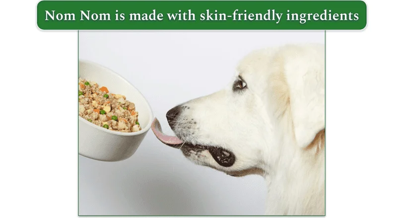 A dog licking a bowl of Nom Nom food