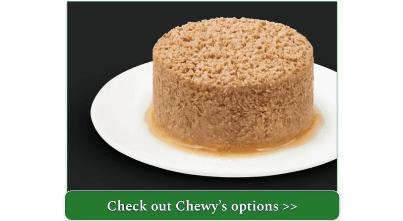 Purina Pro Plan Senior cat food on a plate from Chewy