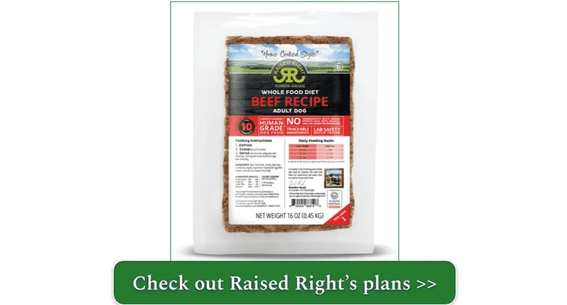 Pouches of Raised Right's Beef Recipe and Chicken Recipe for dogs