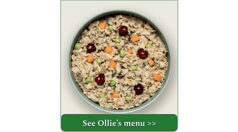 Ollie's fresh chicken recipe