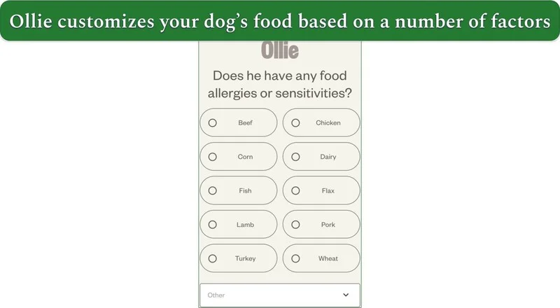 ollie customization questionnaire
