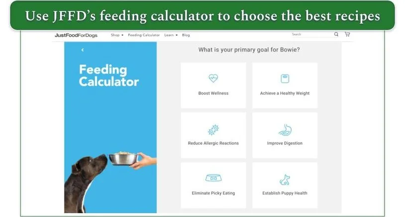 Screenshot of the feeding calculator on JustFoodForDogs with primary goals listed including improving digestion and reducing allergic reactions