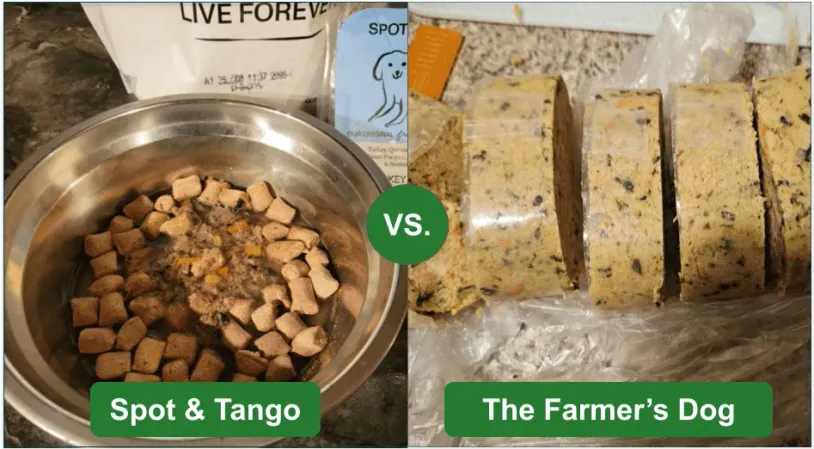 A comparison of Spot & Tango and The Farmer's Dog meals.