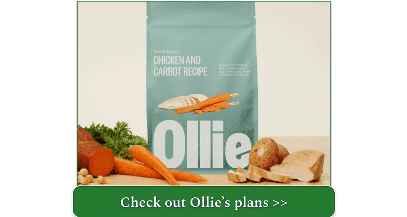 A bag of Ollie Gently Baked Chicken and Carrot Recipe surrounded by carrots and other ingredients