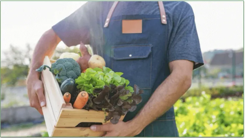 A man carrying a wooden box full of organic produce.