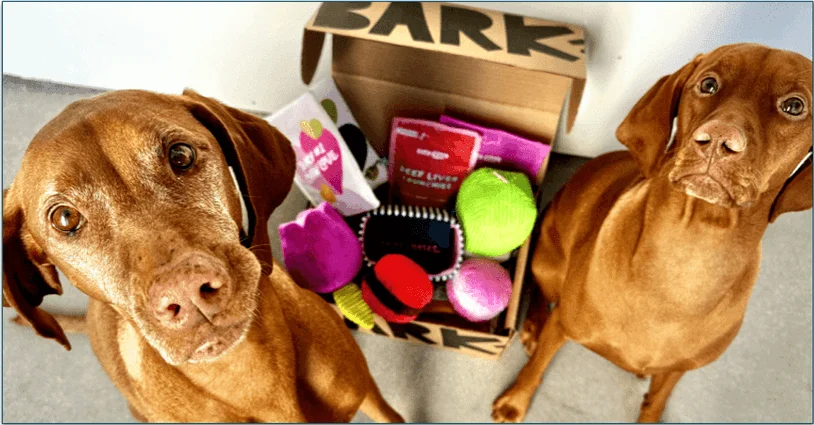 2 dogs sitting next to their BarkBox delivery box
