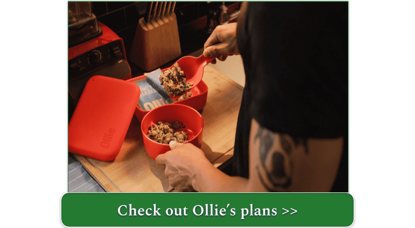 Scooping Ollie fresh Turkey meal