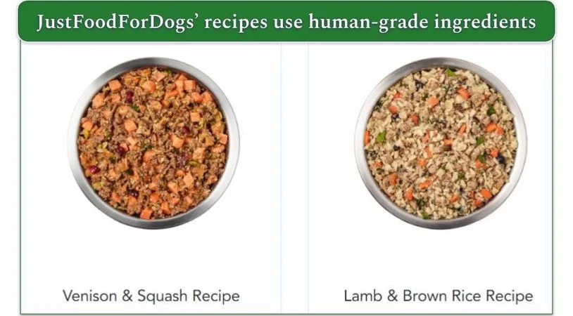 Screenshot if 2 Fresh Frozen recipes from JustFoodForDogs