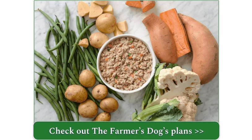 The Farmer's Dog Pork recipe in a bowl surrounded by fresh ingredients