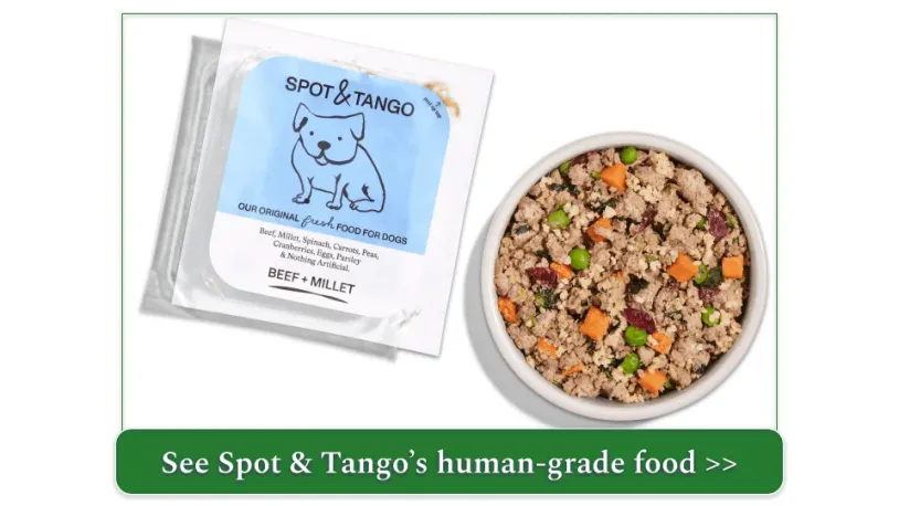 Spot & Tango's Beef & Millet recipe in packaging and served in a bowl