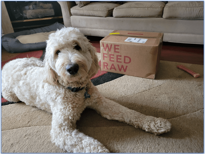 A Goldendoodle standing next to a We Feed Raw delivery box