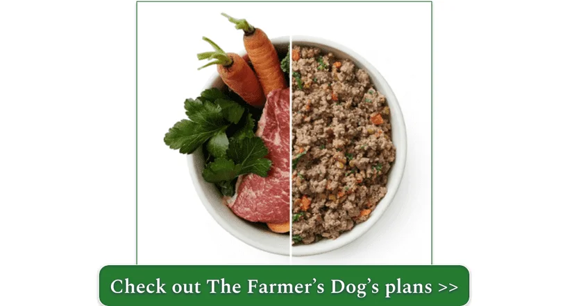The Farmer's Dog features fresh, human-grade recipes