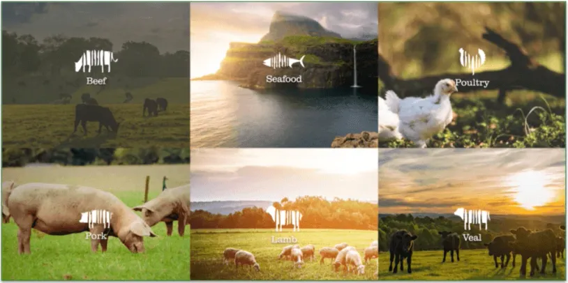 screenshot of Rastelli's protein categories with outdoor imagery