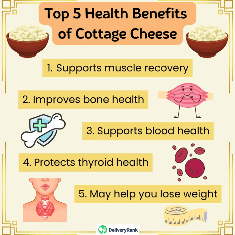 Infographic listing the top 5 health benefits of cottage cheese