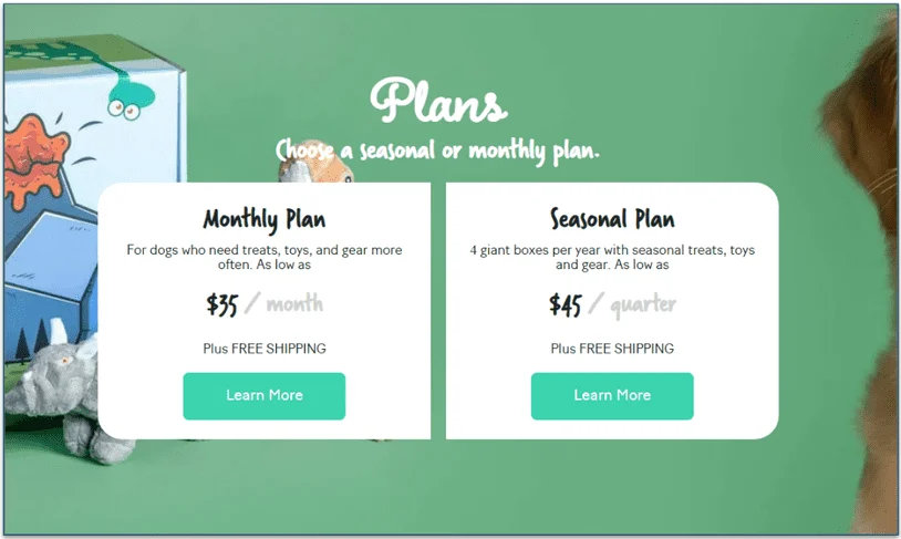 Boxdog subscription plans and prices