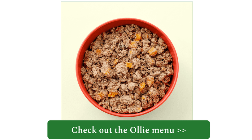 Ollie fresh lamb meal in red bowl