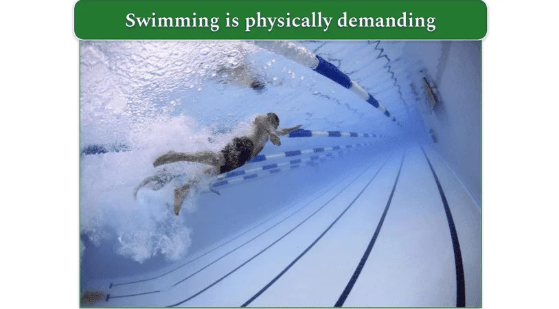 Underwater photo of swimmers in lanes