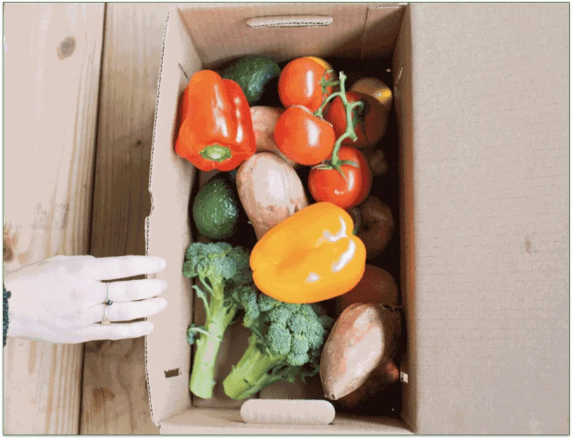 hungry harvest, harvest delivery box