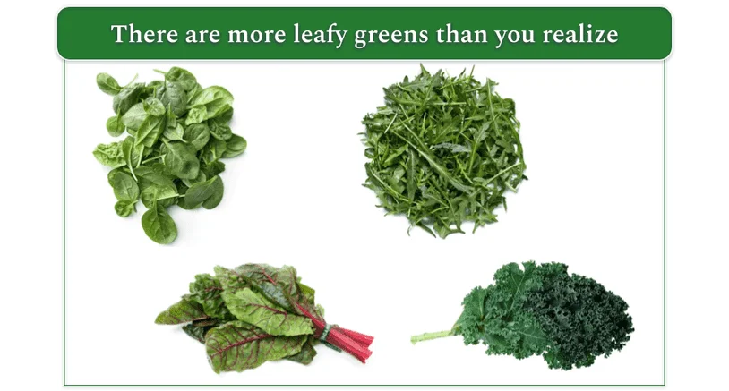 Top left: spinach. Top right: arugula. Bottom left: Swiss chard. Bottom right: Kale