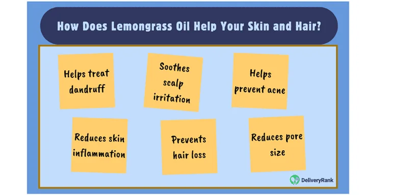 Infographic displaying potential benefits of lemongrass oil