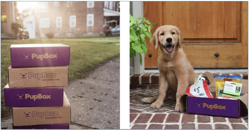 A stack of PupBox delivery boxes and a dog sitting next to an open PupBox