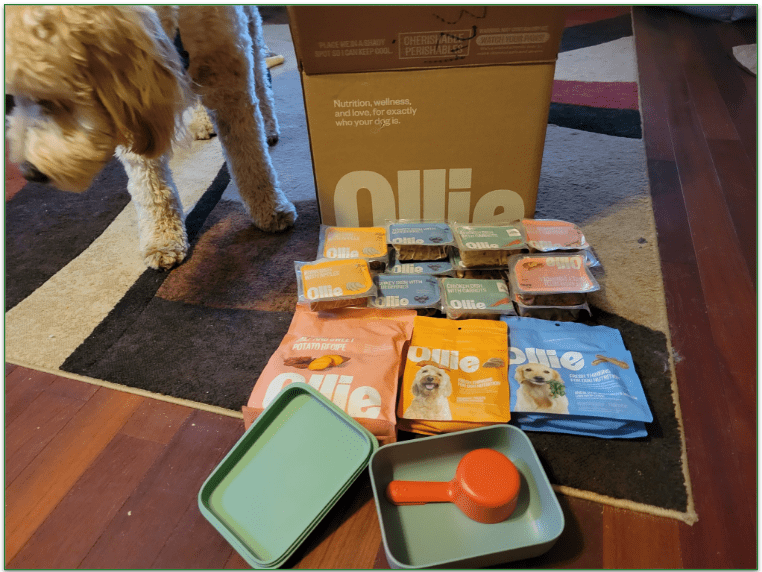 A selection of meals and treats from Ollie