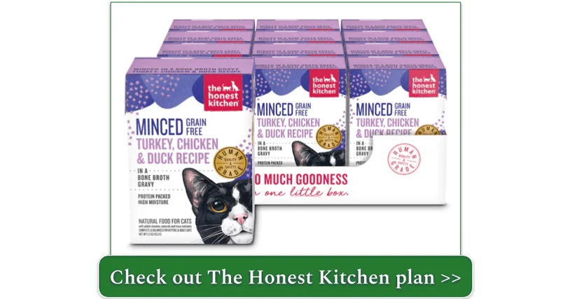 A case of The Honest Kitchen's Minced Grain Free Turkey, Chicken, & Duck Recipe