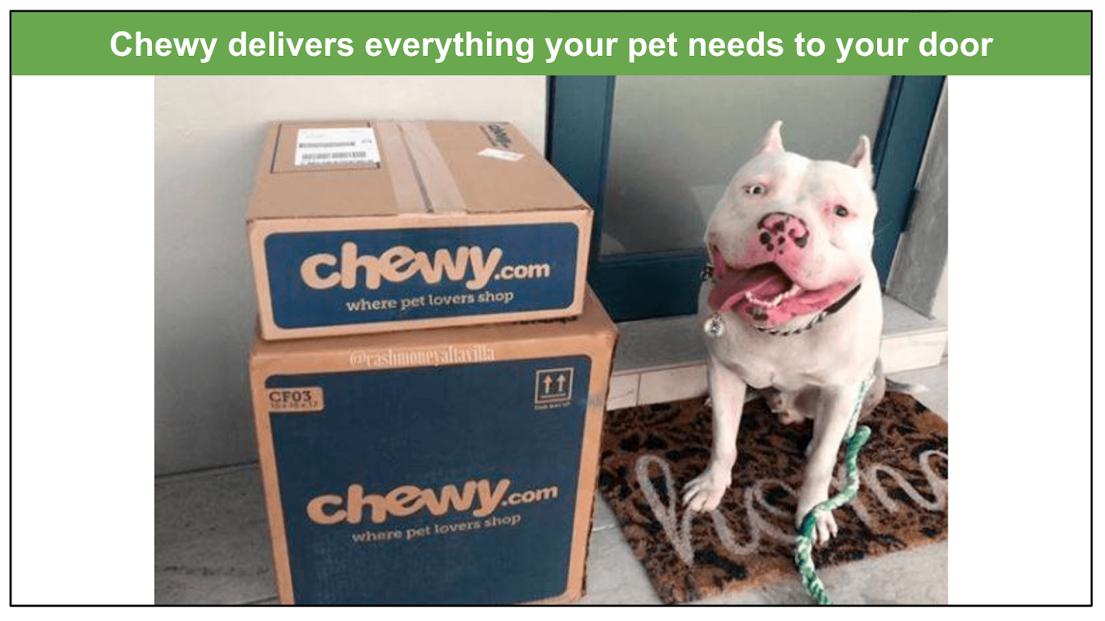 Chewy delivery 2024