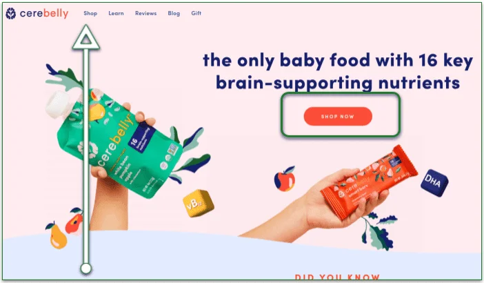 Screenshot of Cerebelly's home page, with instructions on how to reach the shop section