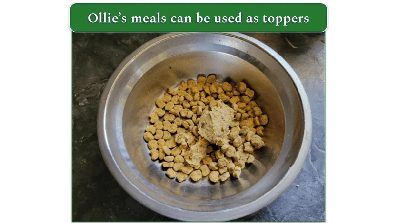 An Ollie meal being used as a topper by our reviewer along with his dogs normal kibble meal