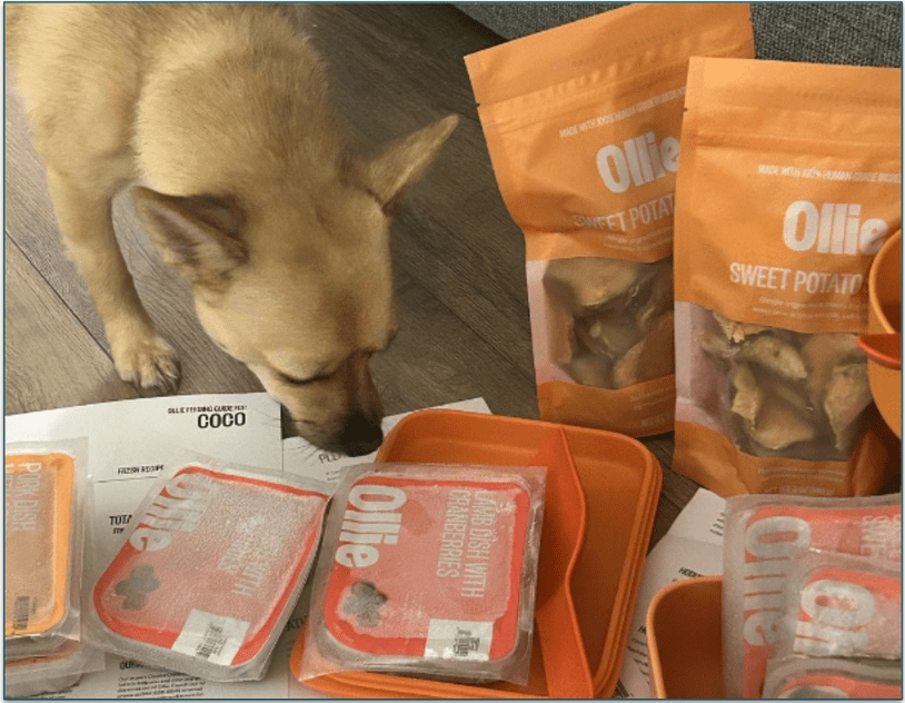 A dog inspects Ollie meals