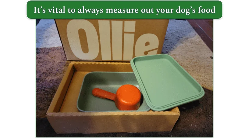 A dog food measuring scoop from Ollie
